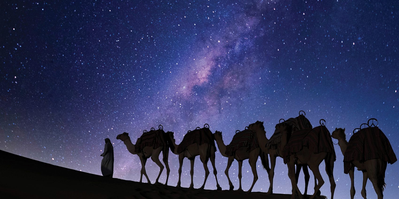 Camel caravan beneath a star-filled night sky